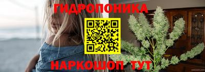 spice Бузулук