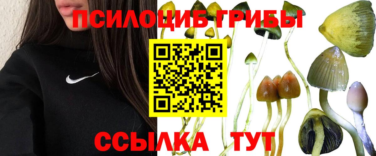 Псилоцибиновые грибы прущие грибы Оренбург