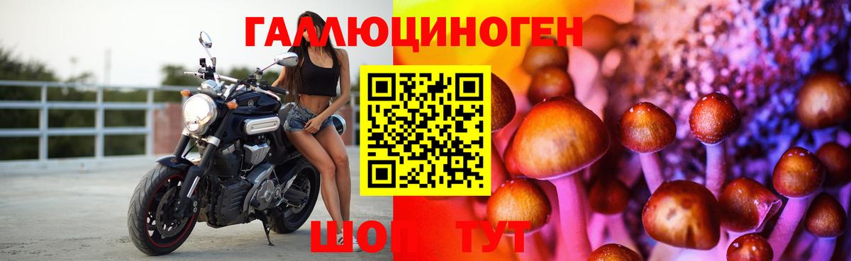 Галлюциногенные грибы Magic Shrooms  Галлюциногенные грибы мицелий  цена   Оренбург  Вход с VPN 